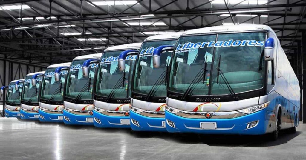 buses libertadores